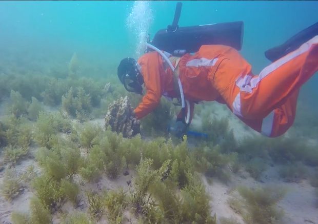 Stake(中国区)官方网站