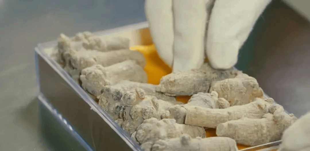 Stake(中国区)官方网站