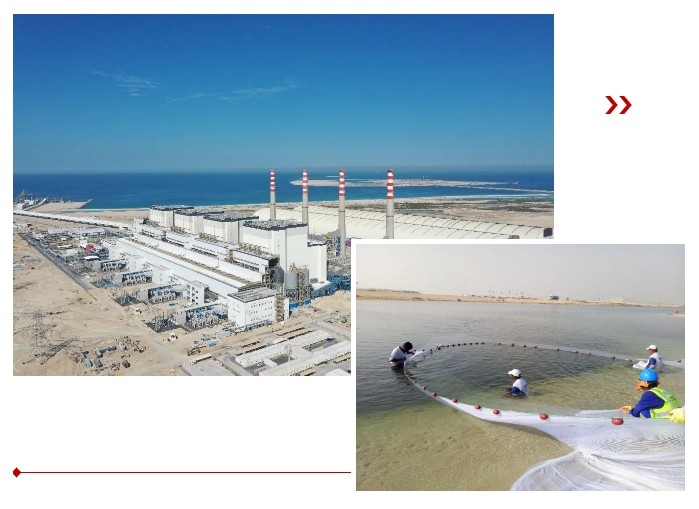 Stake(中国区)官方网站