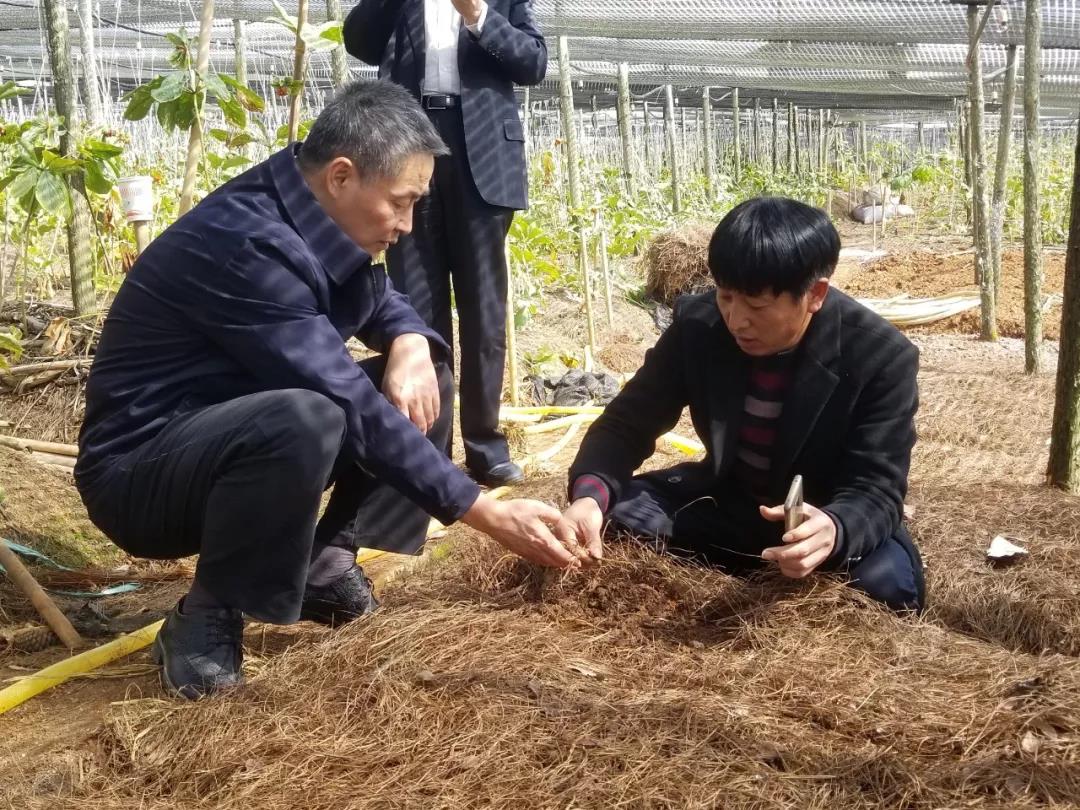 Stake(中国区)官方网站