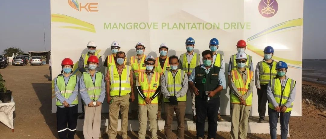 Stake(中国区)官方网站