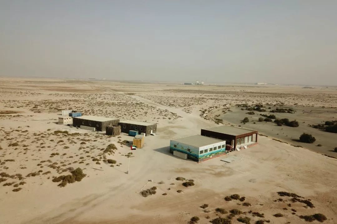 Stake(中国区)官方网站