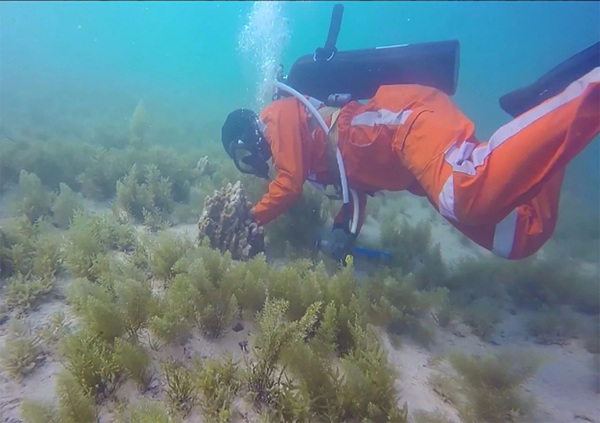 Stake(中国区)官方网站