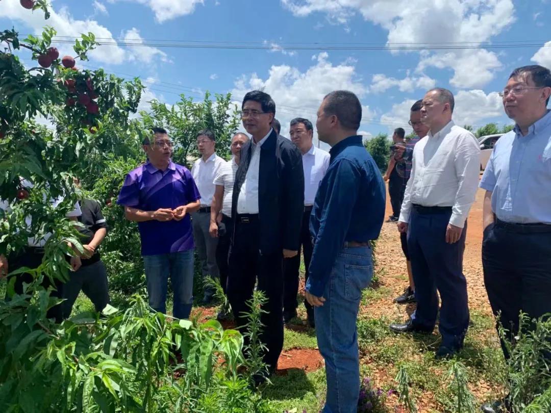 Stake(中国区)官方网站