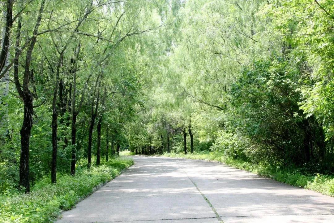 Stake(中国区)官方网站