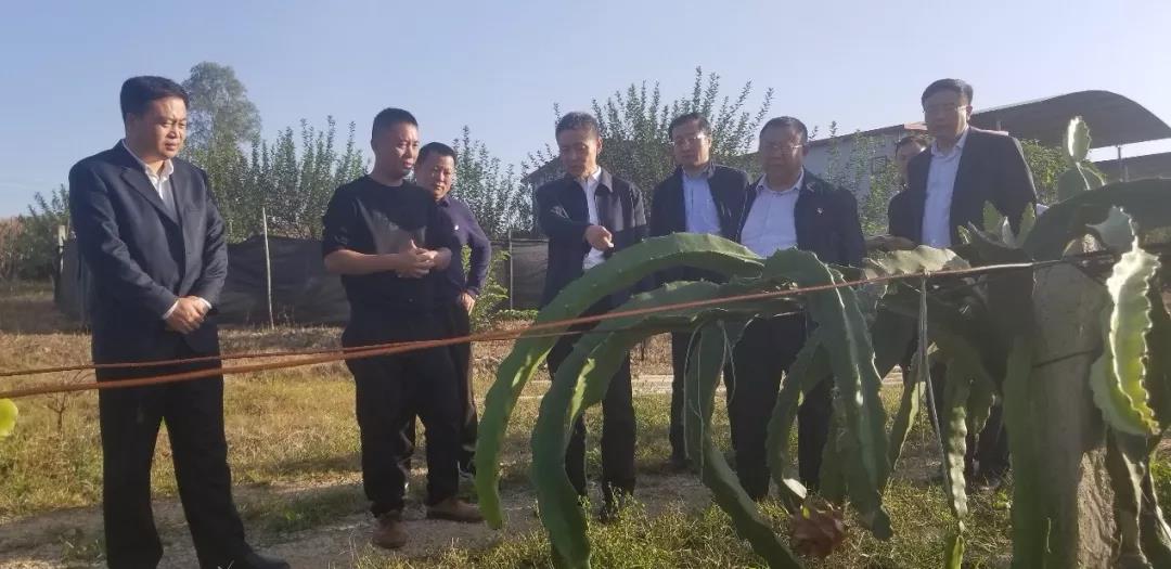 Stake(中国区)官方网站