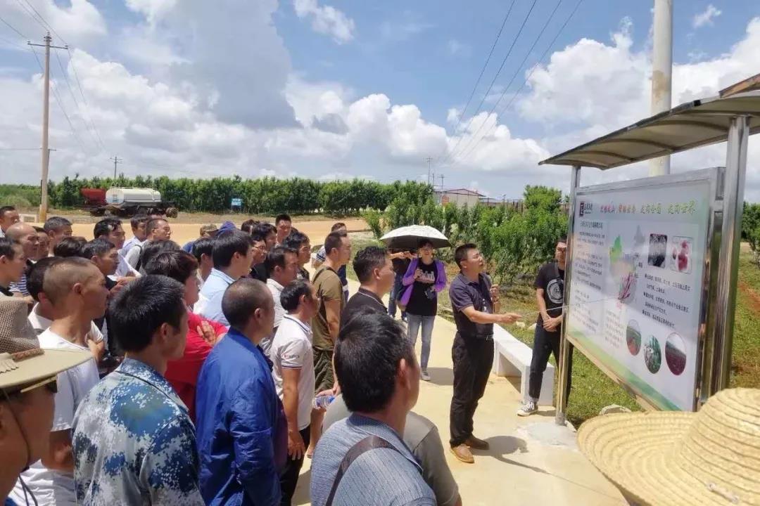 Stake(中国区)官方网站