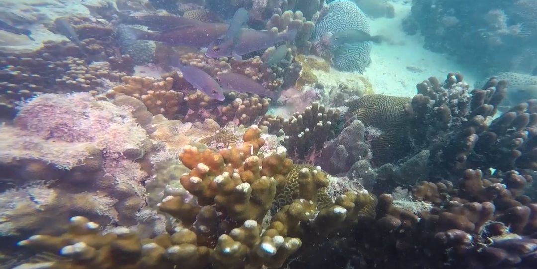 Stake(中国区)官方网站