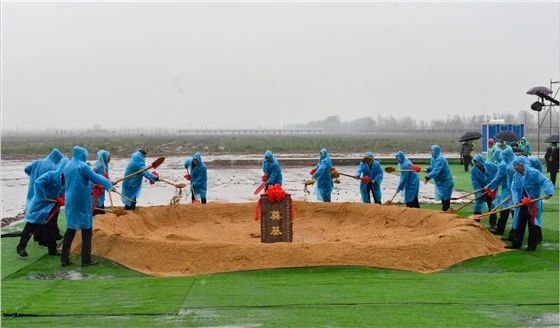 Stake(中国区)官方网站