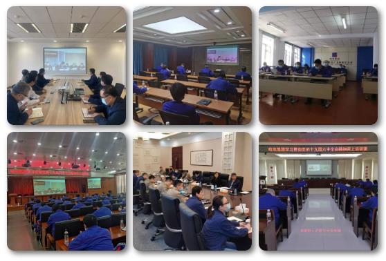 Stake(中国区)官方网站