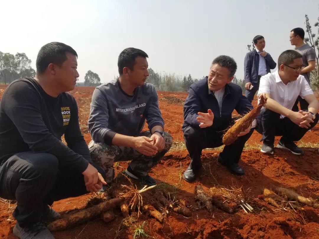 Stake(中国区)官方网站